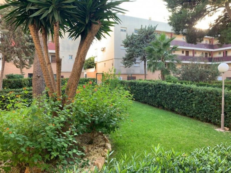 ST1073: Appartement à vendre dans Mil Palmeras, Alicante