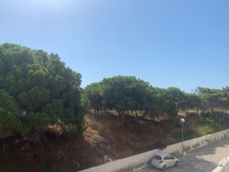 ST1177: Appartement te koop in La Mata, Alicante