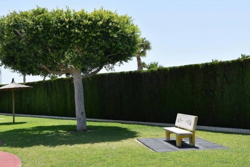 ST580: Duplex for Sale in Torrevieja, Alicante
