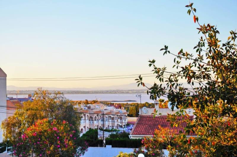 ST674: Villa à vendre dans Torrevieja, Alicante