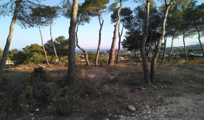 ST692: Villa à vendre dans Moraira, Alicante